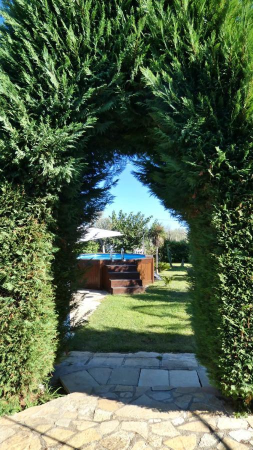Villa Piana - Con Piscina E Giardino Privato Nel Salento Tricase Exterior foto